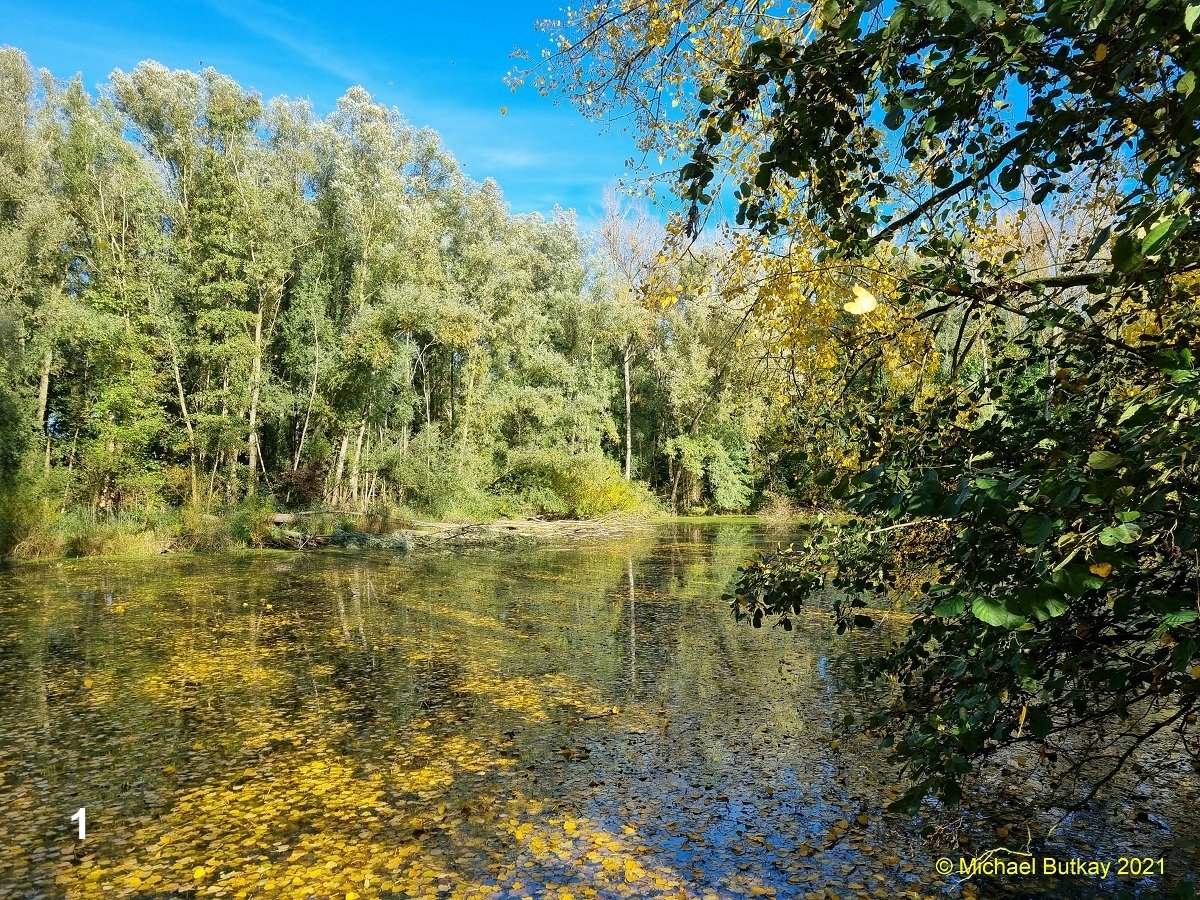 Probenentnahmestelle (27.10.2021)