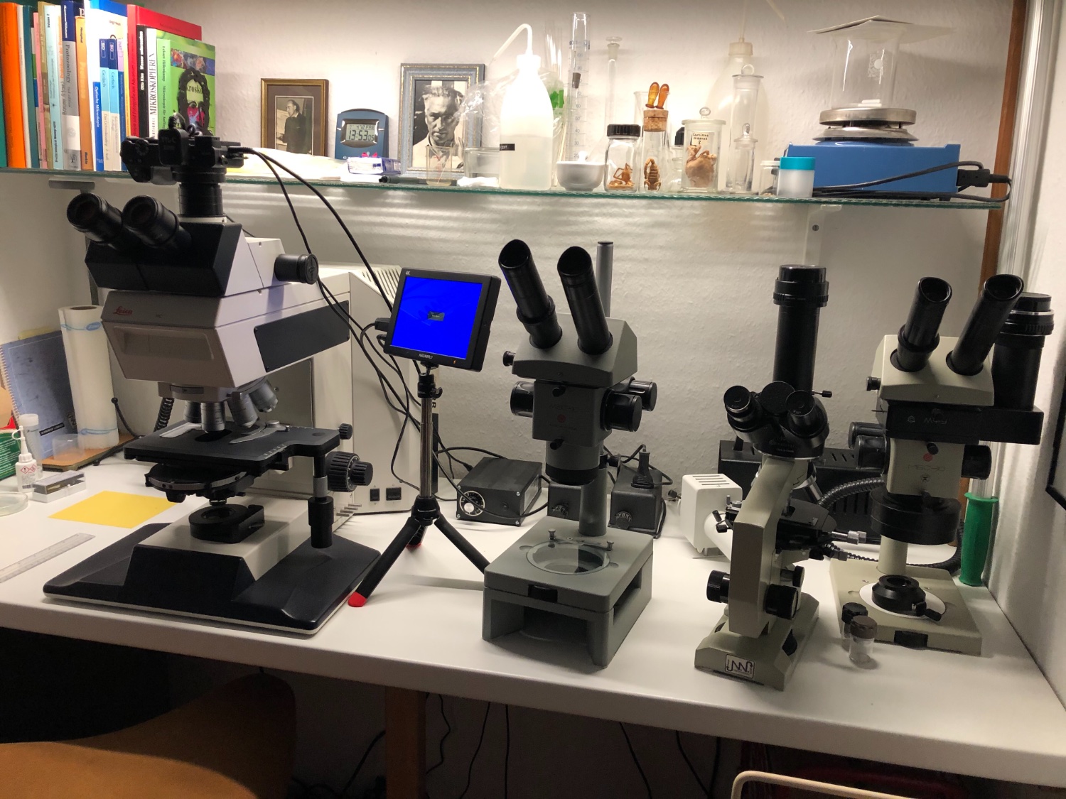 Mikroskopecke Krall.jpg