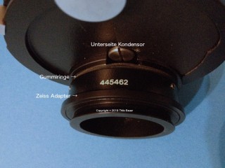 IMG_7271.jpg